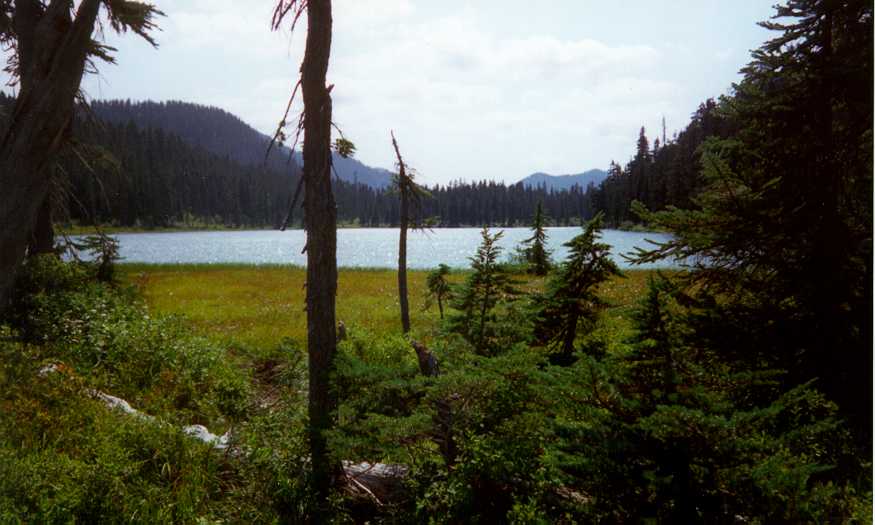 View from the camp area