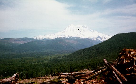 View of Mt. Rainier