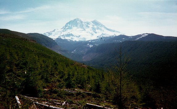 Another view of Mt. Rainier