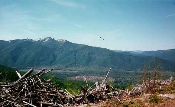 A view south towards Puyallup Ridge (4600 ft elevation)